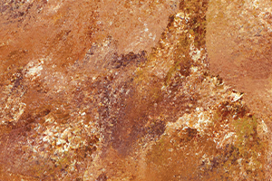 sacred-soil.png