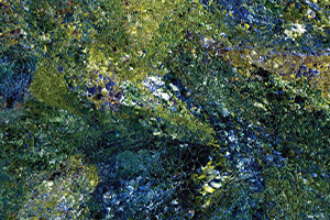 sea-garden.png